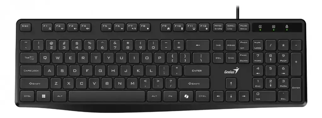 nb_TECLADO-GENIUS-RS2-KB-117S-AI-SP-BLK-USB_ver_f00d5f88cc655537ff7f354eae0f067b.webp