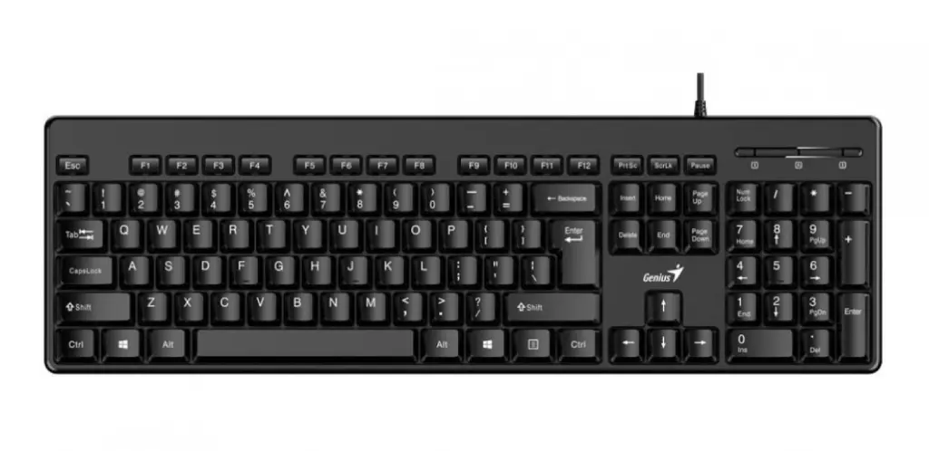 nb_teclado-genius-rs2-kb-116-sp-blk_ver_83a5cc66d3db12afb47868cd5ffe7bdd.webp