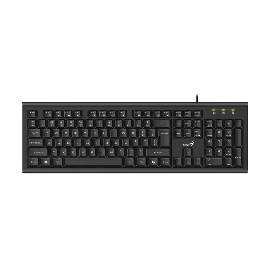 Teclado Genius KB-113 Usb